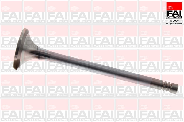 Exhaust Valve